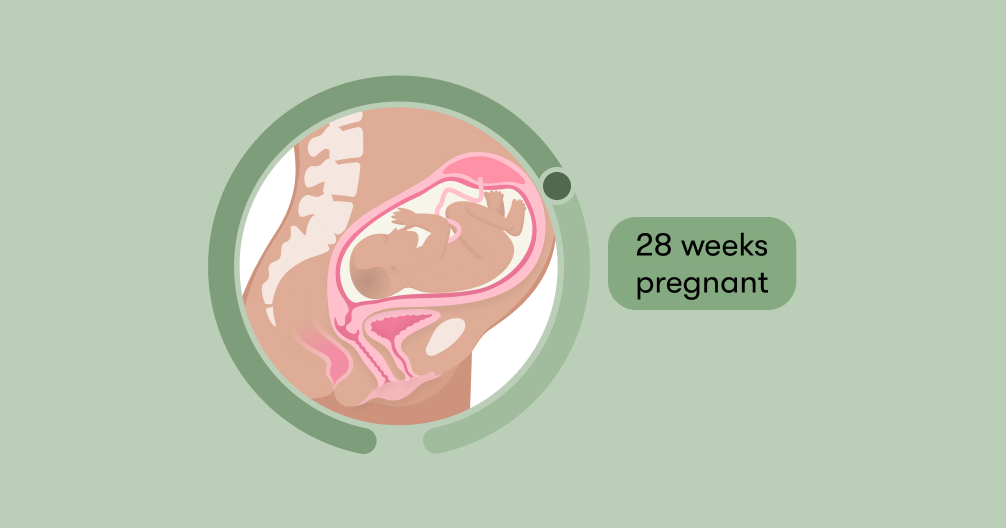 symptoms during 28th week of pregnancy